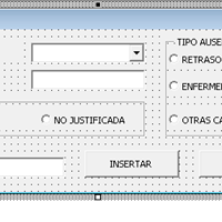 Formulario vba que con dos condiciones inserte datos en columnas