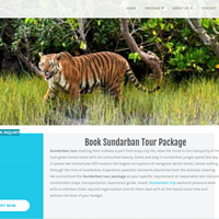 According to Sarkar’s research, the Bangladesh Sundarban, where the “top-dying sickness” is causing havoc, are not protected fro