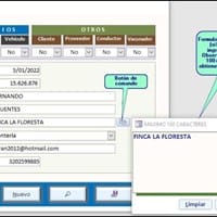 Cambiar tamaño en pantalla zoom en formulario access