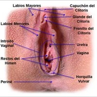 ¿Alguien me resuelve estas dudas sexuales? AYUDA!