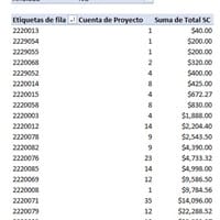 ¿Puedo poner un limite en la tabla dinámica?