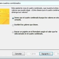 Insertar cuadro combinado en access