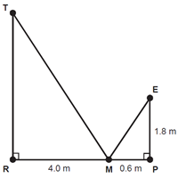 La altura TR de un árbol se puede medir usando triángulos similares. Se coloca un espejo en el punto M de modo que la copa...