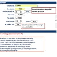 Quien puede apoyar al empresario con calculo matemático de un simulador bancario?