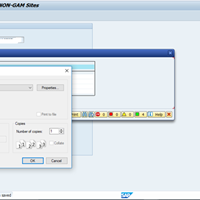 Macro para descargar PDF de SAP a tu disco duro