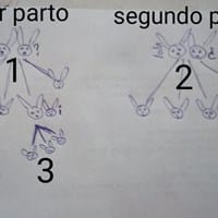 Se pude montar conejos medio tío y sobrino