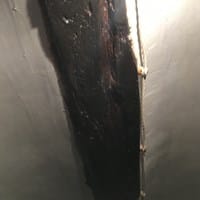 Vigas de madera carcomidas y luego destripadas