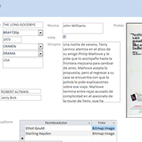 Duplicidad de datos en una tabla Access 2010