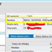 ¿Como Visualizar Nombre Completo PA30 SAP?