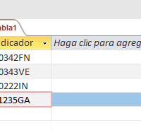 Código VBA para programar botones de alternar en Access