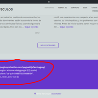 Por que no se ven mis anuncios de AdSense ?