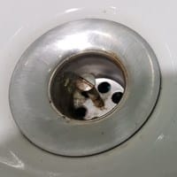 Desmontar desagüe sin tener que desmontar plato de ducha.