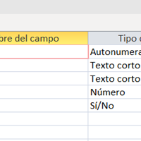 Hacer una tabla en access con dos campos autonuméricos