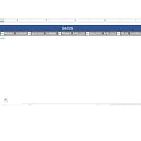 Buscar 10 datos a la vez en access desde excel