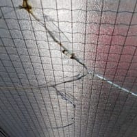 Como sello grietas en ventanas