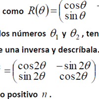 Ejercicio con matrices trigonométricas demostración