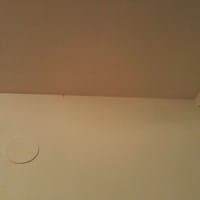 Insectos o ciempiés en un piso