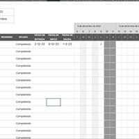 Como crear ocultar una columna en función de una o varias celdas en excel