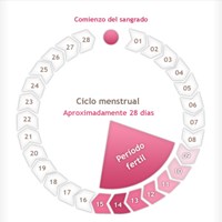¿Cuándo consevi mi bb?