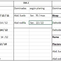 Rutina gimnasio para dos días, ¿Esta bien así?
