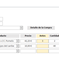 Macro para Botón de Registro
