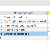 Restar -1 en todos los registros de una columna access