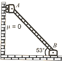 Una escalera uniforme AB Una escalera uniforme AB de 40 lbf de peso