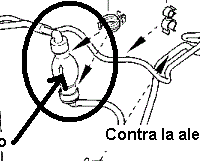 Megane 2 1.9 dci 120 cv