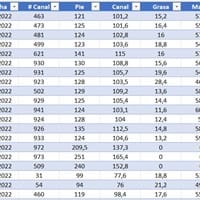 Ocupo cargar datos de una hoja de Excel a un Formulario, cual es la opción en VBA Excel, para hacerlo y poder modificarlos?