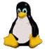 01pinguino