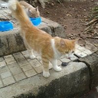 Julia Arroyo Mohamed