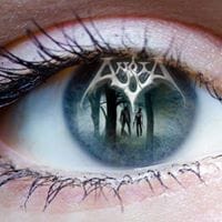 Guadalupe M. Muñoz Márquez