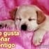 yulim