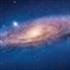 David Rivera