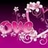 naty bel