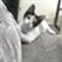 Katherine Trujillo Perez