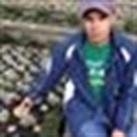 Harvey Fernando Diaz Ramirez