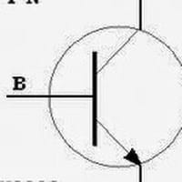 toni francés gisbert