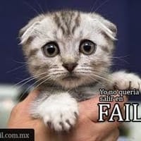 Jeovanny Gallego