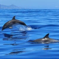 Pablo Ramos Rodriguez