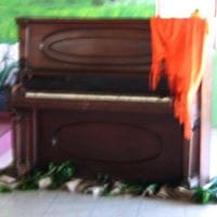 Alberto Chaves Cordero