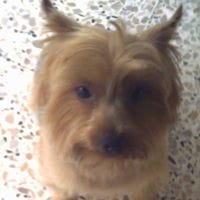 Julio Gascon Sanchez