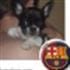 Diego Fc Barcelona