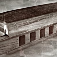 Harp Cover