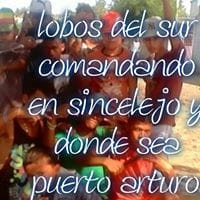 lovo de sur Mendoza Henamdez