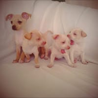 maria vazquez mendez