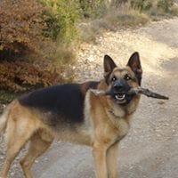 Francesca Fontanet Bornay