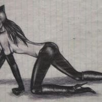 Gatita Contrera