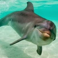 ruBiy goNzalez floRes