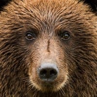 Maria Esther Patiño